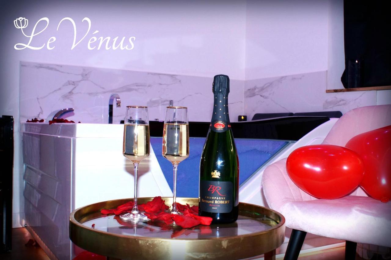 Le Venus - Appartement Spa Privatif Balneo Sauna Дижон Екстериор снимка